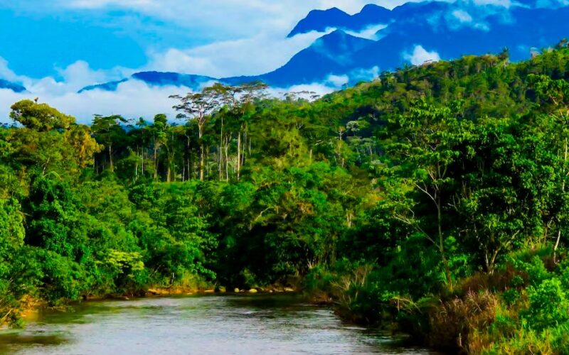 UNIVERSIDAD TECNOLÓGICA ALTO MAYO FORMARÁ PROFESIONALES PARA TRANSFORMAR LA AMAZONÍA Y REDUCIR LA DEFORESTACIÓN, AFIRMA ECOLOGISTA DAVID LANDA – RCR Peru