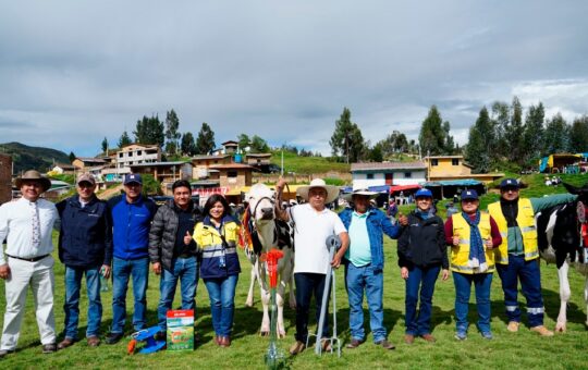 COMBAYO CONSOLIDA SU COMPETITIVIDAD ECONÓMICA TRAS EXITOSA EDICIÓN DE SU FERIA AGROPECUARIA 2026 – RCR Peru