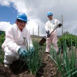 MINEM OBTUVO LA RECERTIFICACIÓN INTERNACIONAL ISO 9001:2015, RATIFICANDO SUS ESTÁNDARES INTERNACIONALES DE GESTIÓN DE CALIDAD – RCR Peru