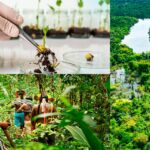 LA AMAZONÍA PERUANA NECESITA EMPRESAS TRANSFORMADORAS, BIOTECNOLÓGICAS Y COMUNITARIAS, SOSTIENE ECOLOGISTA DAVID LANDA – RCR Peru