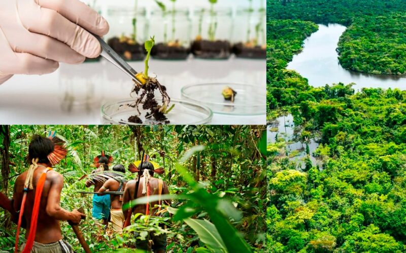 LA AMAZONÍA PERUANA NECESITA EMPRESAS TRANSFORMADORAS, BIOTECNOLÓGICAS Y COMUNITARIAS, SOSTIENE ECOLOGISTA DAVID LANDA – RCR Peru