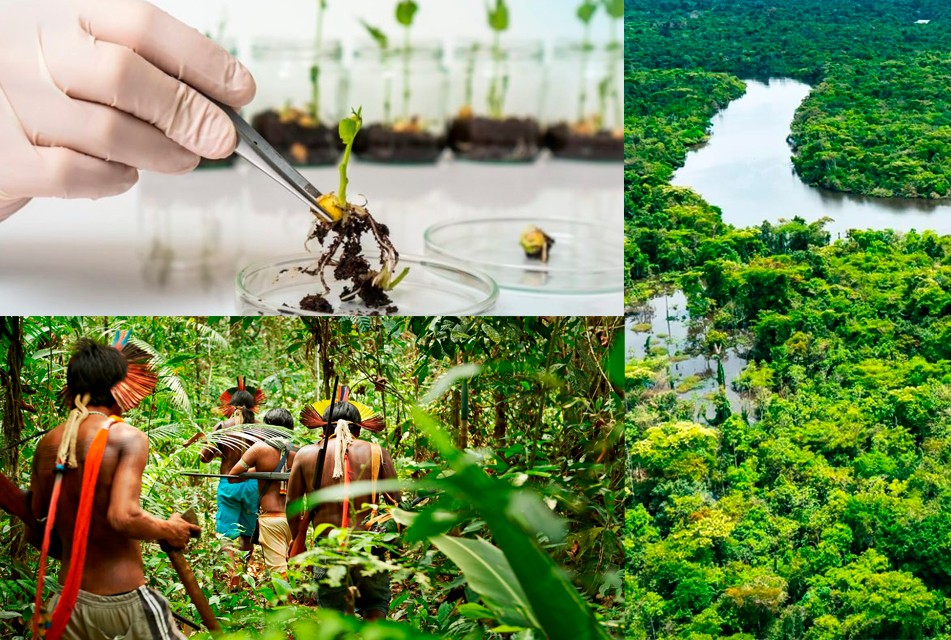 LA AMAZONÍA PERUANA NECESITA EMPRESAS TRANSFORMADORAS, BIOTECNOLÓGICAS Y COMUNITARIAS, SOSTIENE ECOLOGISTA DAVID LANDA – RCR Peru