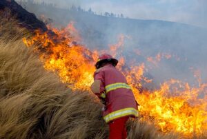 EL SUR ANDINO Y LA AMAZONÍA PODRÍAN ENFRENTAR SEQUIAS E INCENDIOS FORESTALES, ADVIERTE EXPERTO PEDRO FERRADAS – RCR Peru