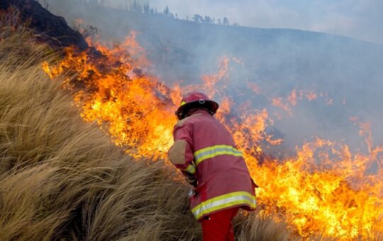 EL SUR ANDINO Y LA AMAZONÍA PODRÍAN ENFRENTAR SEQUIAS E INCENDIOS FORESTALES, ADVIERTE EXPERTO PEDRO FERRADAS – RCR Peru