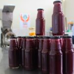 EL MAÍZ MORADO SE ADAPTA A LA AMAZONÍA Y GENERA INGRESOS CON LA “CAMUCHICHA” – RCR Peru