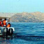 PROMPERÚ LANZA NUEVA CAMPAÑA DE AVISTAMIENTO DE BALLENAS EN TUMBES Y PIURA PARA IMPULSAR EL TURISMO SOSTENIBLE – RCR Peru