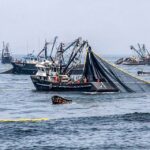 FENÓMENO DE EL NIÑO CAUSA PÉRDIDAS ECONÓMICAS A PYMES EN CONFECCIONES Y PESCA – RCR Peru