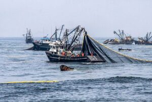 FENÓMENO DE EL NIÑO CAUSA PÉRDIDAS ECONÓMICAS A PYMES EN CONFECCIONES Y PESCA – RCR Peru
