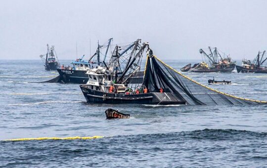FENÓMENO DE EL NIÑO CAUSA PÉRDIDAS ECONÓMICAS A PYMES EN CONFECCIONES Y PESCA – RCR Peru