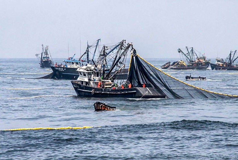 FENÓMENO DE EL NIÑO CAUSA PÉRDIDAS ECONÓMICAS A PYMES EN CONFECCIONES Y PESCA – RCR Peru