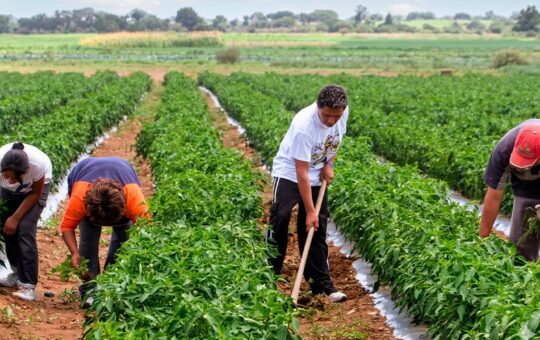 EL NIÑO PUEDE QUEBRAR ECONOMÍA DEL PERÚ SI GOBIERNO NO TOMA MEDIDAS DE PREVENCIÓN PARA MITIGAR SU IMPACTO – RCR Peru