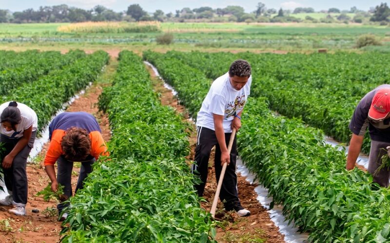 EL NIÑO PUEDE QUEBRAR ECONOMÍA DEL PERÚ SI GOBIERNO NO TOMA MEDIDAS DE PREVENCIÓN PARA MITIGAR SU IMPACTO – RCR Peru