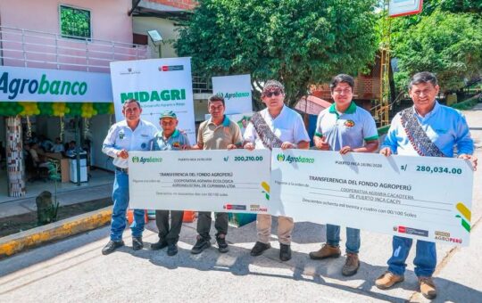 MIDAGRI DESTINA MÁS DE S/480 MIL EN CRÉDITOS EN BENEFICIO DE MÁS DE 3 MIL FAMILIAS PRODUCTORAS DE CACAO, CAFÉ Y GANADO EN HUÁNUCO – RCR Peru