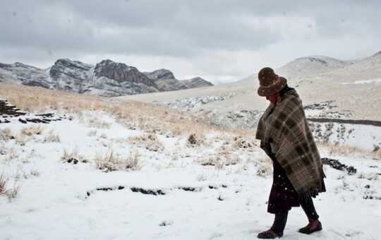 SENAMHI PREVÉ HASTA -21 °C EN MAZOCRUZ Y ALERTA POR AFECTACIÓN AL GANADO – RCR Peru