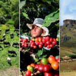 CAJAMARCA PUEDE IMPULSAR SU DESARROLLO CON GANADERÍA, CAFÉ DE EXPORTACIÓN Y EL TURISMO, SOSTIENE ANALISTA PERCY URTEAGA – RCR Peru