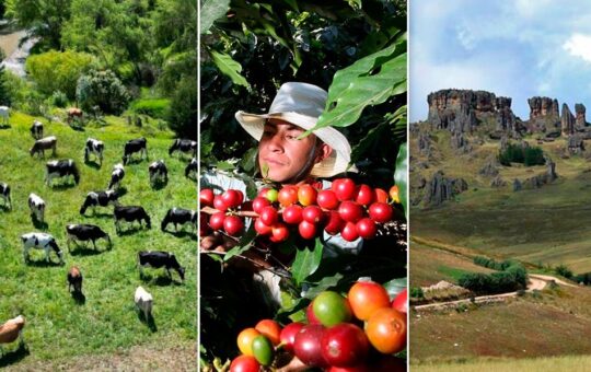 CAJAMARCA PUEDE IMPULSAR SU DESARROLLO CON GANADERÍA, CAFÉ DE EXPORTACIÓN Y EL TURISMO, SOSTIENE ANALISTA PERCY URTEAGA – RCR Peru