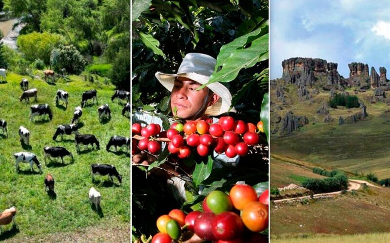 CAJAMARCA PUEDE IMPULSAR SU DESARROLLO CON GANADERÍA, CAFÉ DE EXPORTACIÓN Y EL TURISMO, SOSTIENE ANALISTA PERCY URTEAGA – RCR Peru