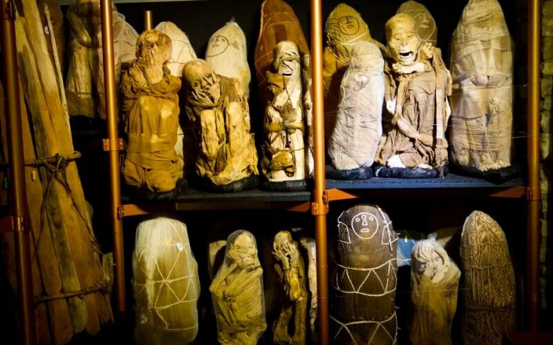 PIDEN AL MINISTERIO DE CULTURA FINANCIAR EXPEDICIONES PARA DESCUBRIR LA GRAN CIUDAD DETRÁS DE LAS 219 MOMIAS DE LEYMEBAMBA – RCR Peru