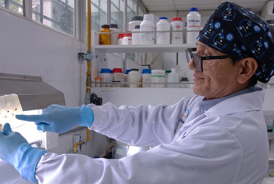 PROYECTO DE LA FACULTAD DE CIENCIAS BIOLÓGICAS DE LA UNMSM APUNTA A COMBATIR LA RESISTENCIA ANTIMICROBIANA – RCR Peru