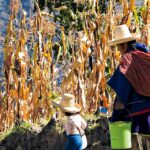 CAJAMARCA SIGUE EN EL PUESTO 20 DEL ÍNDICE DE COMPETITIVIDAD REGIONAL DESDE HACE UNA DÉCADA PORQUE LAS AUTORIDADES NO SABEN APROVECHAR SUS RECURSOS – RCR Peru