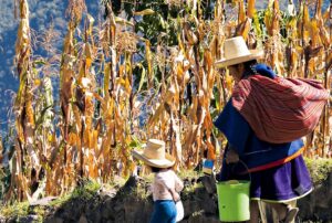CAJAMARCA SIGUE EN EL PUESTO 20 DEL ÍNDICE DE COMPETITIVIDAD REGIONAL DESDE HACE UNA DÉCADA PORQUE LAS AUTORIDADES NO SABEN APROVECHAR SUS RECURSOS – RCR Peru