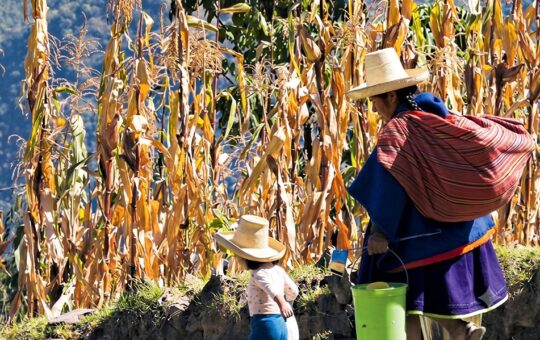 CAJAMARCA SIGUE EN EL PUESTO 20 DEL ÍNDICE DE COMPETITIVIDAD REGIONAL DESDE HACE UNA DÉCADA PORQUE LAS AUTORIDADES NO SABEN APROVECHAR SUS RECURSOS – RCR Peru