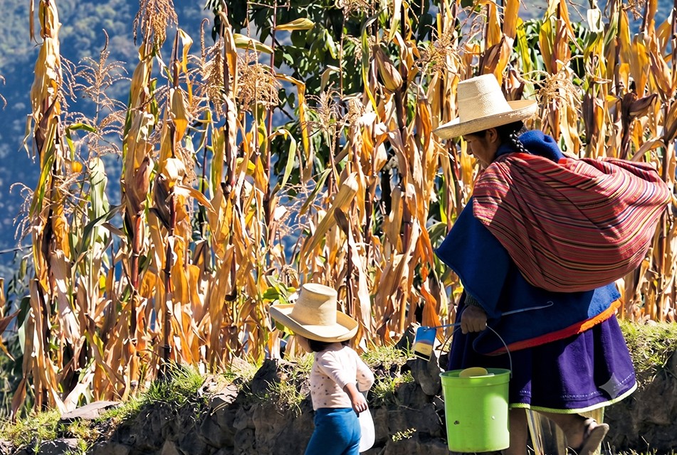CAJAMARCA SIGUE EN EL PUESTO 20 DEL ÍNDICE DE COMPETITIVIDAD REGIONAL DESDE HACE UNA DÉCADA PORQUE LAS AUTORIDADES NO SABEN APROVECHAR SUS RECURSOS – RCR Peru